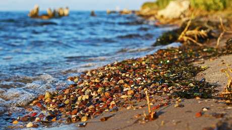 No todo es basura: un hombre encuentra vómito de ballena valorado en más de medio millón de dólares (VIDEO)