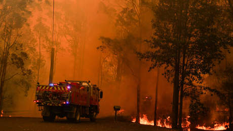 Bomberos, sobre el incendio cerca de Sídney: "Intentemos lo que intentemos, no está funcionando"