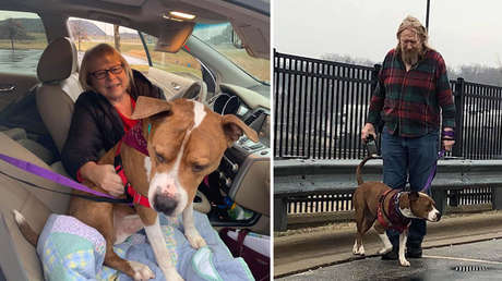 Animalistas devuelven a su hogar a un perro robado y trasladado a más de 3.000 kilómetros en EE.UU.