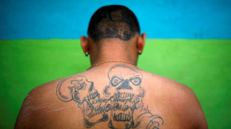 Casi un centenar de miembros de MS-13, arrestados tras dos años de investigación en un solo condado de Nueva York