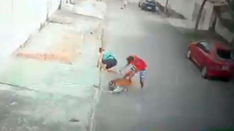 VIDEO: Un joven salva a un niño de 5 años del ataque de un pitbull
