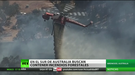 Buscan contener los grandes incendios forestales en el sur de Australia