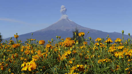 VIDEO: El volcán Popocatépetl emite una columna de cenizas y gases de un kilómetro de altura