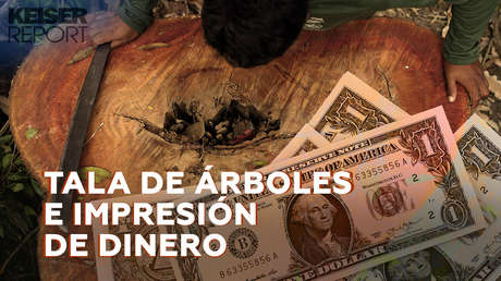 Sugerencia para Brasil: "Crear un mercado de futuros de oxígeno en vez de talar árboles"