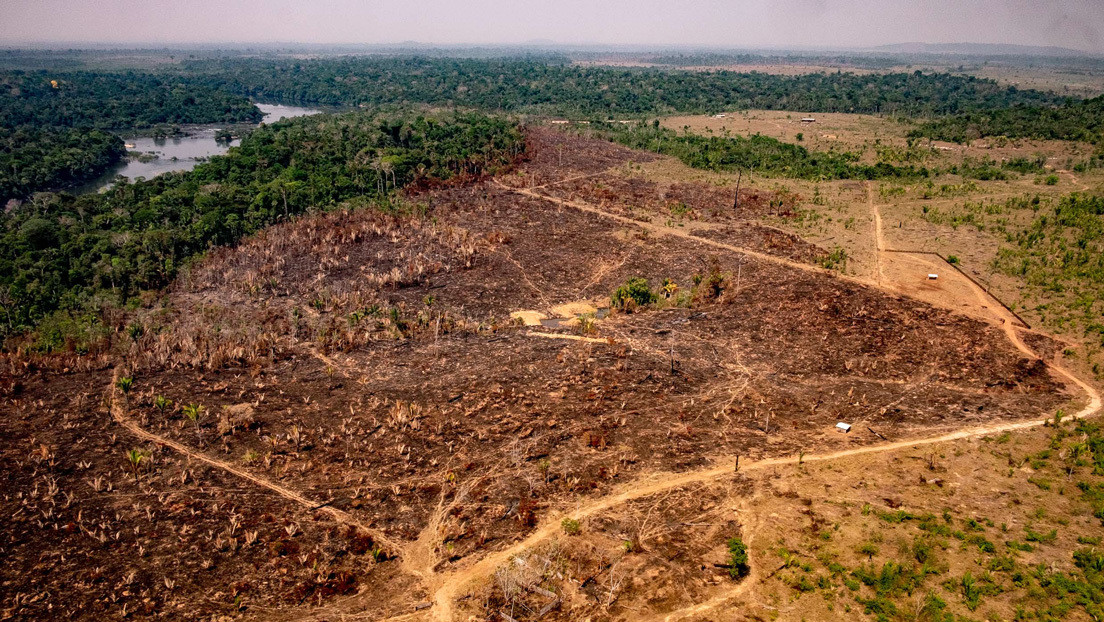¿Cambio de postura? Bolsonaro anuncia la creación de un consejo para la "defensa y desarrollo" de la Amazonía