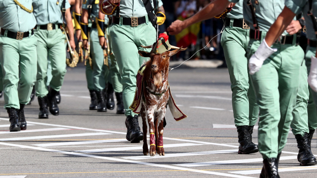 El neonazi legionario que ensambla a la extrema derecha en su jubilación dorada en España (y estuvo en las dictaduras de América Latina)