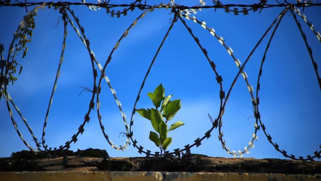 "¡Saludos desde Tailandia!": Reo se fuga de una cárcel belga y envía una postal a los directores del penal