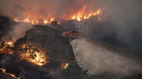 VIDEO, FOTOS: El humo por los incendios forestales en Australia es tan denso que ya llega a Nueva Zelanda