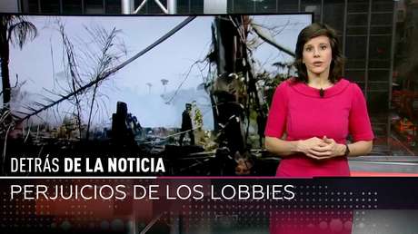 Perjuicios de los lobbies