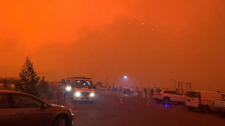 VIDEO: La dura 'batalla' entre una mujer con una manguera y el incendio forestal que 'devora' su casa en Australia, grabada en primera persona