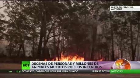 Decenas de personas y millones de animales muertos por los incendios en Australia