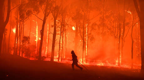 La última década tuvo las temperaturas más altas de la historia y el 2019 fue el segundo más caluroso en casi 150 años