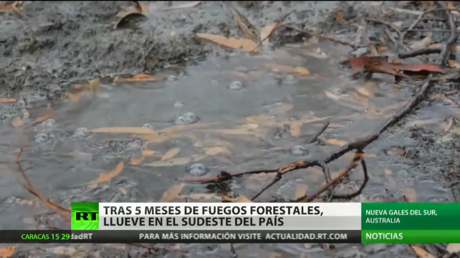 Tras 5 meses de incendios forestales llueve en el sudeste del Australia