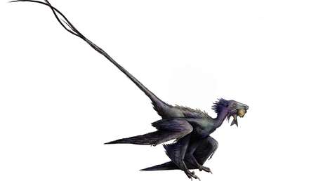 FOTO: Descubren un 'dragón danzante', especie antes desconocida de dinosaurio alado que ofrece nuevos detalles sobre la evolución