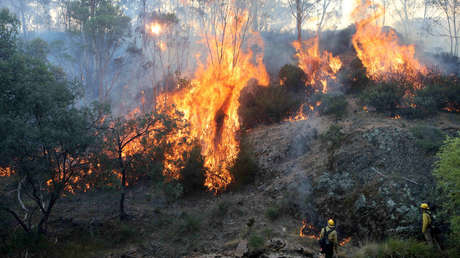 Los incendios en Australia dejan al descubierto canales de acuicultura más antiguos que las pirámides de Egipto