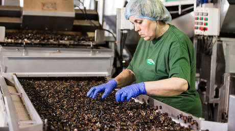 La aceituna negra española gana a la Administración Trump el primer pleito sobre los aranceles