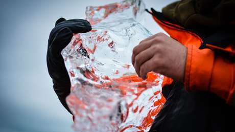 Descubren virus desconocidos de 15.000 años de antigüedad en un glaciar