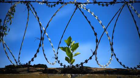 "¡Saludos desde Tailandia!": Reo se fuga de una cárcel belga y envía una postal a los directores del penal