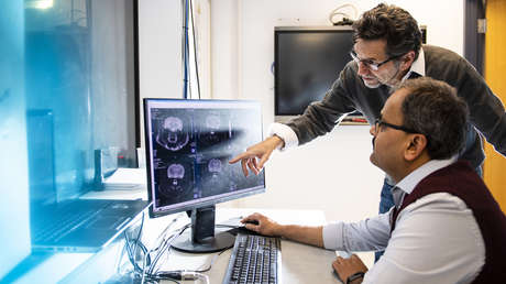 Descubren que una rata "sin cerebro" pudo llevar una vida completamente normal