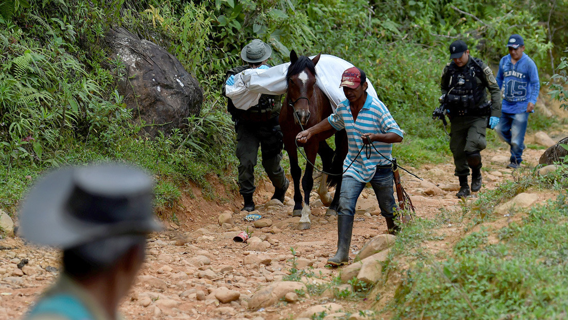 Enero de 2020, el mes más letal para los líderes sociales en Colombia en los últimos 5 años