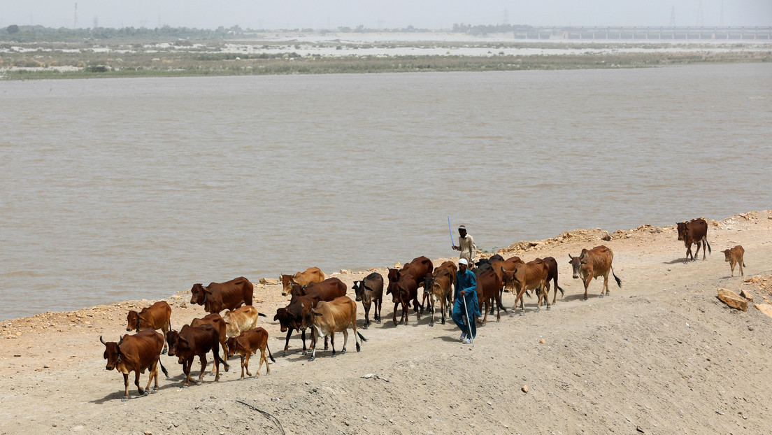 "Acuaterrorismo": La India acusa a Pakistán de malgastar el doble de agua de ríos compartidos que Nueva Delhi