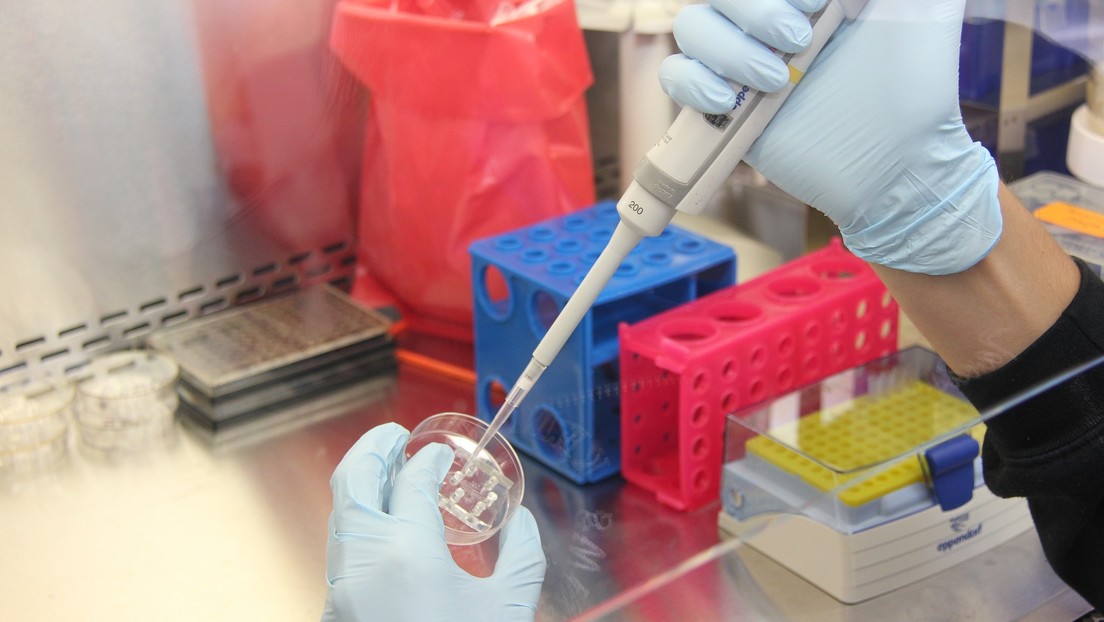 Científicos descubren en Brasil un virus "misterioso" sin genes reconocibles