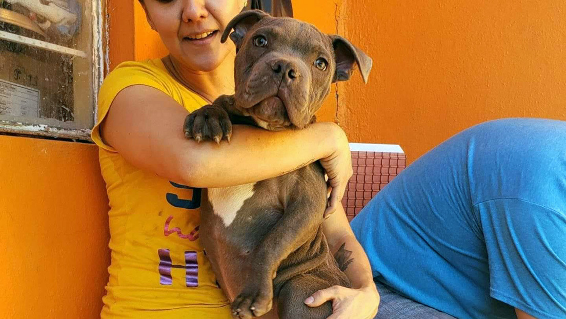 FOTOS: Un niño conmueve a los internautas al abandonar a su cachorro para evitar que su padre lo siga maltratando