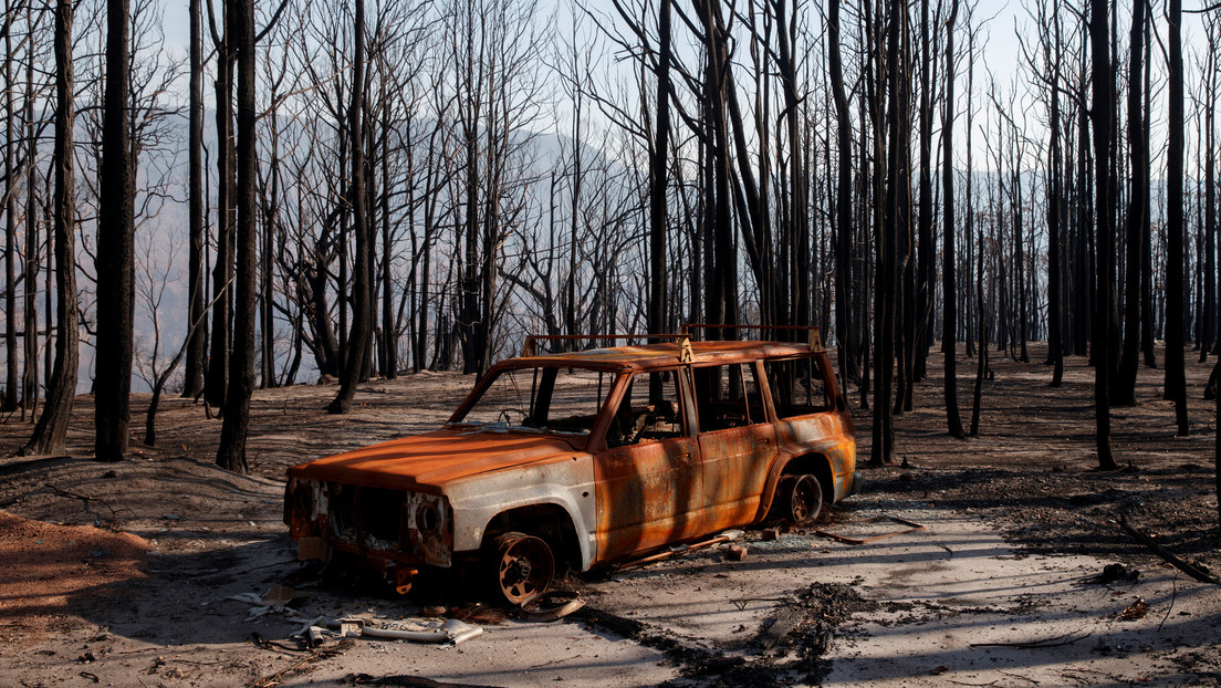 Un exjugador de rugby quema vivos a su exmujer y a sus tres hijos dentro de un coche y luego se suicida clavándose un cuchillo