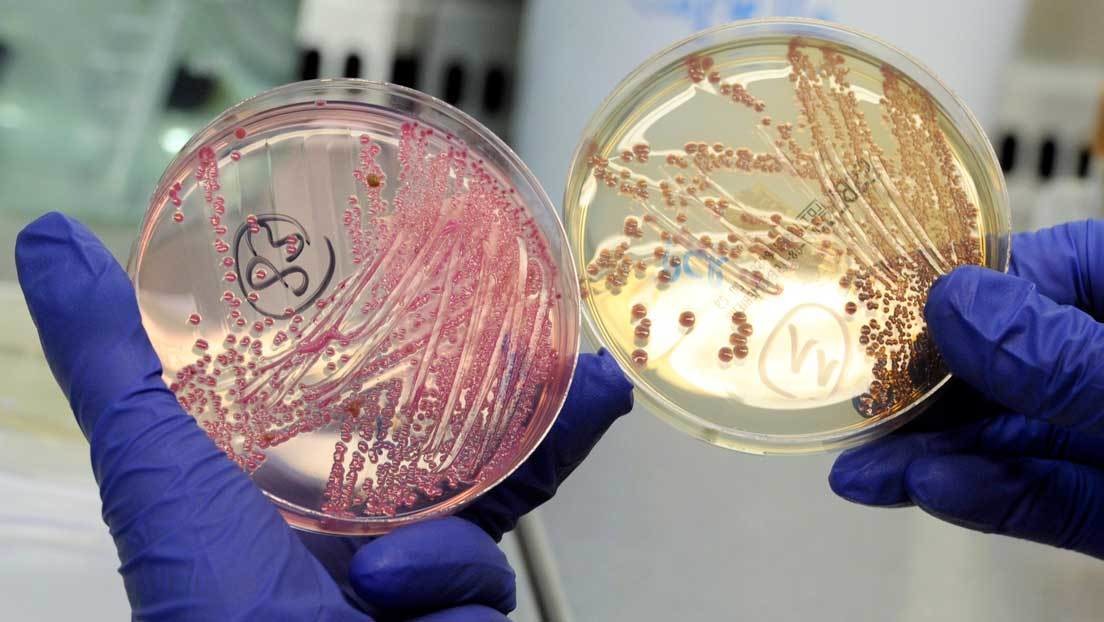 Inteligencia Artificial descubre el que podría ser el antibiótico más potente, capaz de combatir infecciones en cuestión de horas