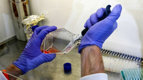 La OMS advierte que los casos de cáncer pueden aumentar un 81 % en países de bajos y medianos ingresos