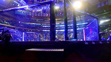 VIDEO: Dos entrenadores terminan a puñetazo limpio durante un combate de MMA