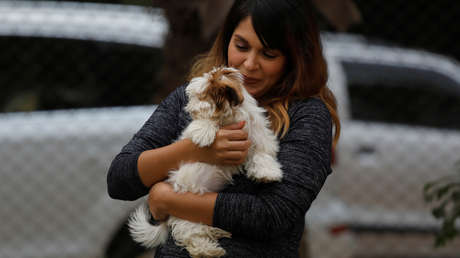 PETA pide que se llame 'compañeros' a los animales en lugar de 'mascotas'