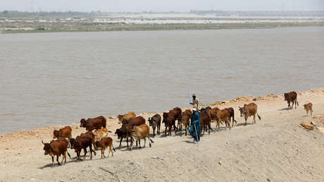 "Acuaterrorismo": La India acusa a Pakistán de malgastar el doble de agua de ríos compartidos que Nueva Delhi