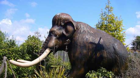 Científicos resucitan genes mutados de los últimos mamuts lanudos