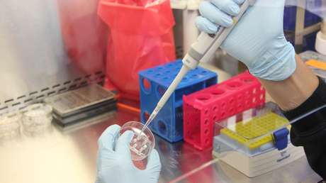 Científicos descubren en Brasil un virus "misterioso" sin genes reconocibles