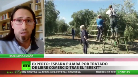 Experto: "España pujará por un tratado de libre comercio con Reino Unido tras el Brexit"