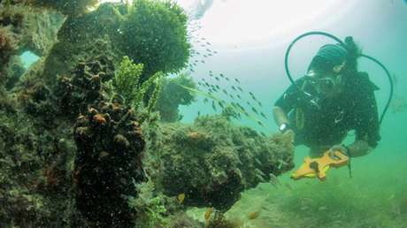 España y México buscarán juntos un enigmático galeón hundido en 1631 con más de un millón de pesos en sus bodegas