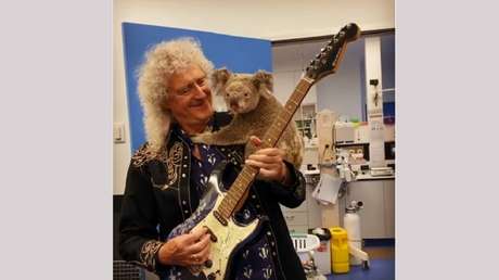 VIDEO: Brian May, el guitarrista de Queen, da un 'concierto privado' para un koala salvado de los incendios en Australia