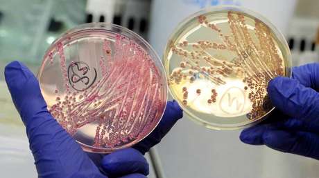 Inteligencia Artificial descubre el que podría ser el antibiótico más potente, capaz de combatir infecciones en cuestión de horas