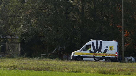 Confirman el primer caso del coronavirus en Países Bajos