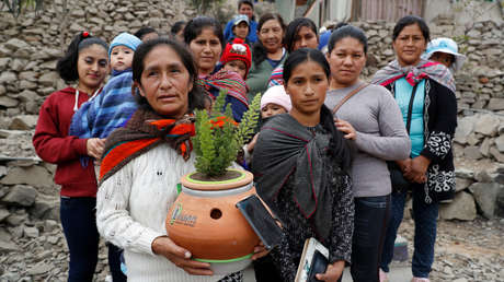 Alinti, la maceta creada por un joven peruano que produce energía limpia a partir de plantas y microorganismos (también purifica el aire)