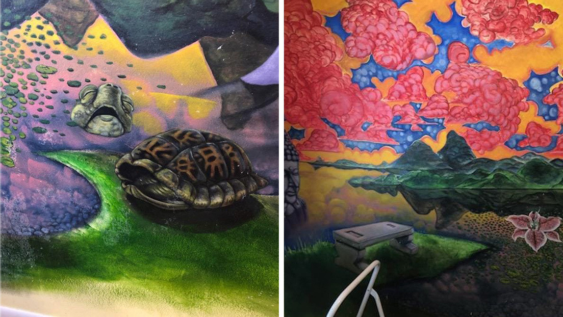 FOTOS: Descubre un enorme mural oculto en su casa luego de que su gato arrancara el empapelado