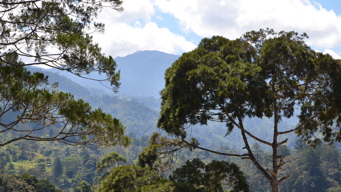 Descubren que el Neolítico empezó en Oceanía independientemente del resto del mundo
