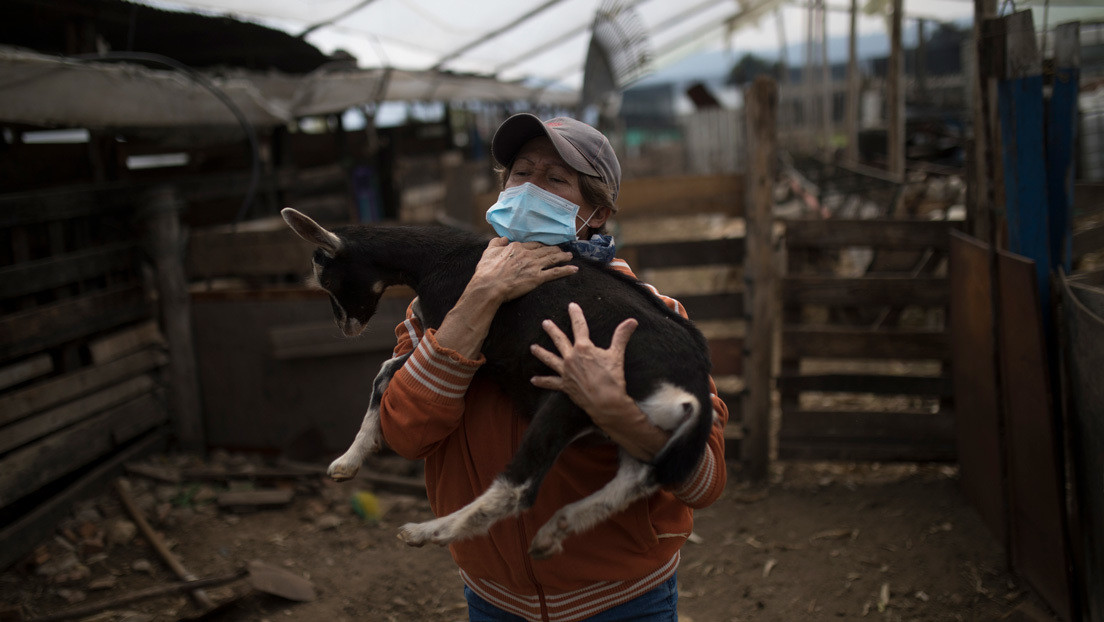 La ONU prevé una posible crisis alimentaria por el coronavirus