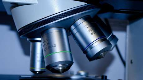 Descubren que un microbio puede ser la cápsula del tiempo perfecta para enviar mensajes a civilizaciones del futuro lejano