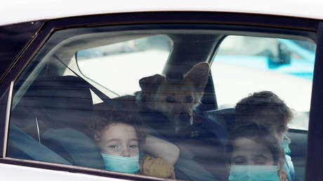 Australia advierte de un brote de coronavirus canino entre galgos de carreras