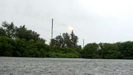 Denuncian que la petrolera estatal mexicana destruye un bosque de manglares en Tabasco