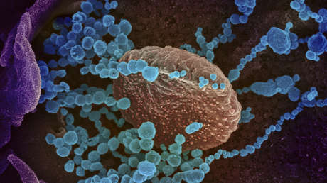 La OMS explica las similitudes y diferencias entre la gripe y el covid-19