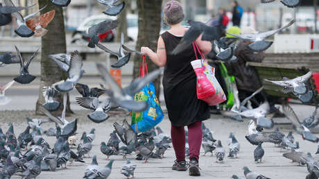 Palomas 'acosan' a una mujer durante la cuarentena por la escasez de comida en las calles vacías (VIDEO)