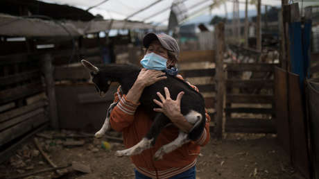 La ONU prevé una posible crisis alimentaria por el coronavirus